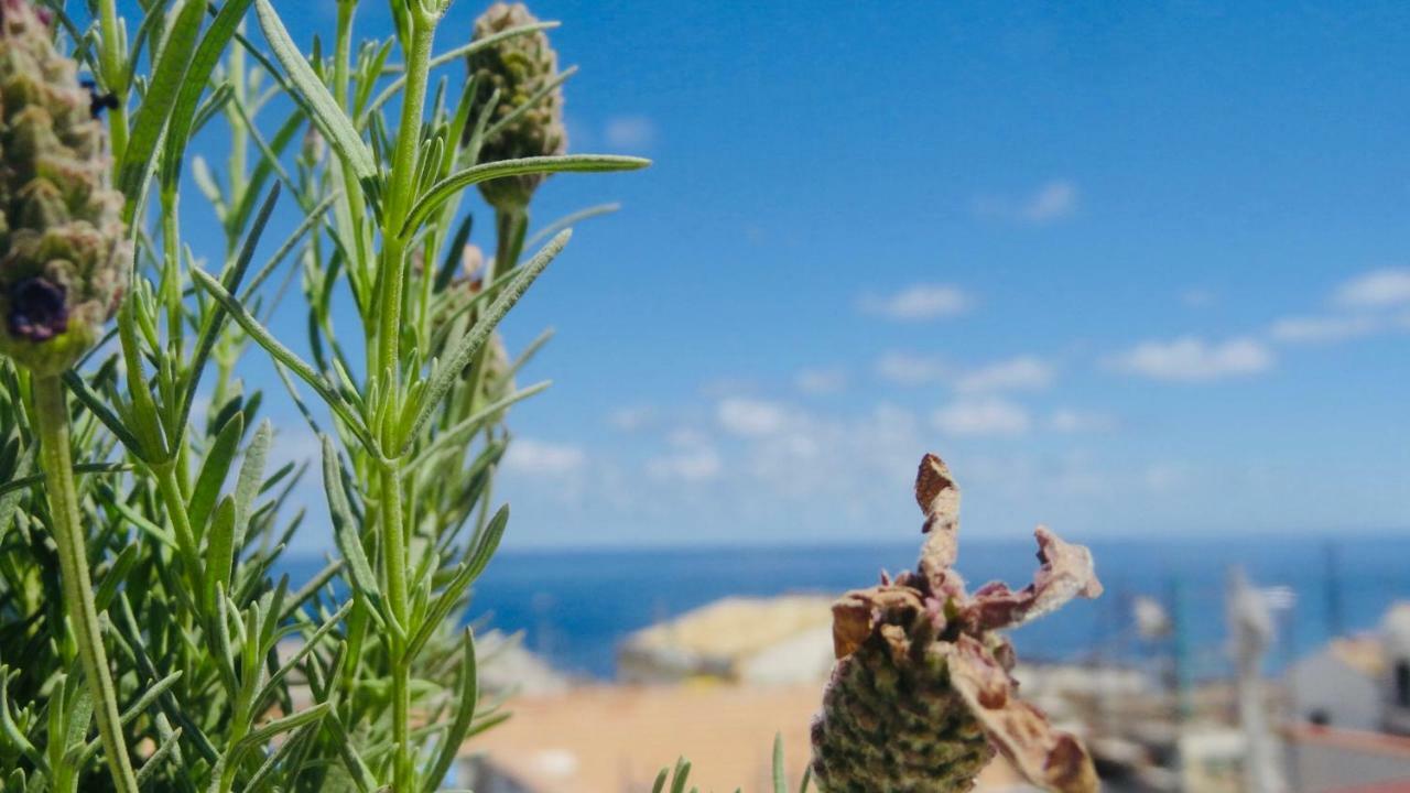 Home Holiday Sicily Isola delle Femmine Exterior photo